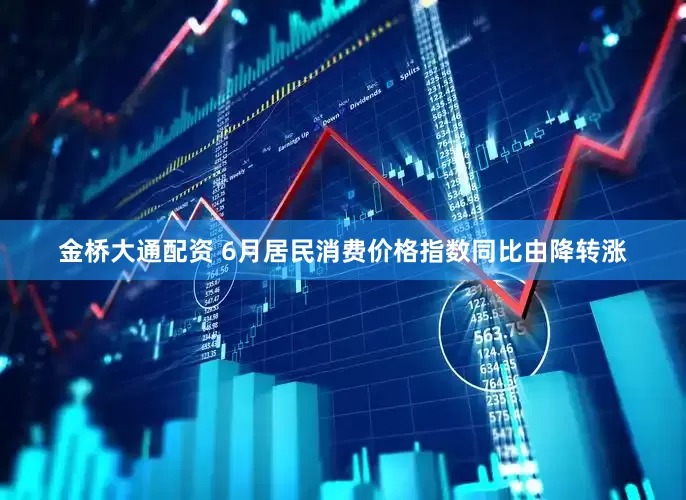 金桥大通配资 6月居民消费价格指数同比由降转涨