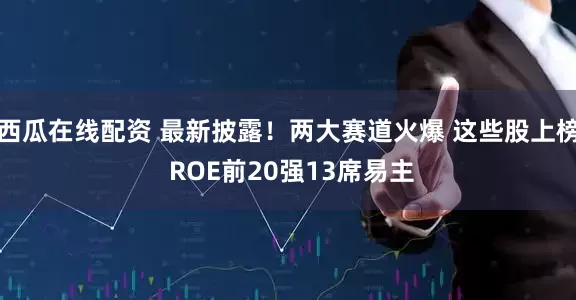 西瓜在线配资 最新披露！两大赛道火爆 这些股上榜 ROE前20强13席易主